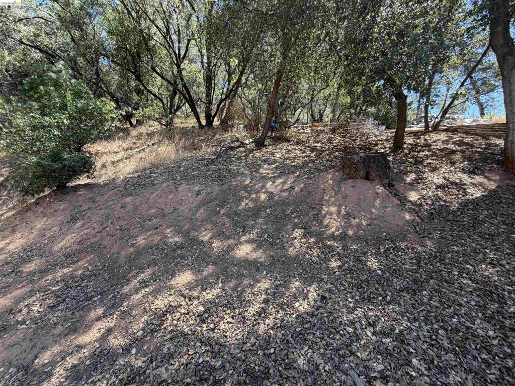 15442 El Venada Trl Property Photo 43