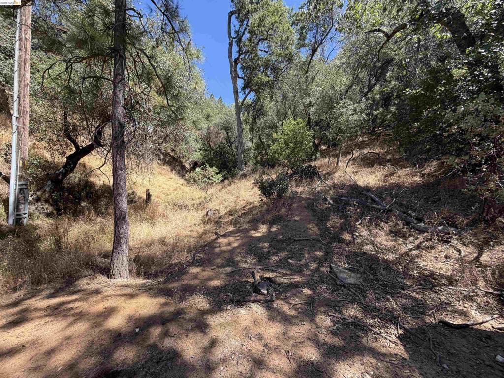 15442 El Venada Trl Property Photo 45