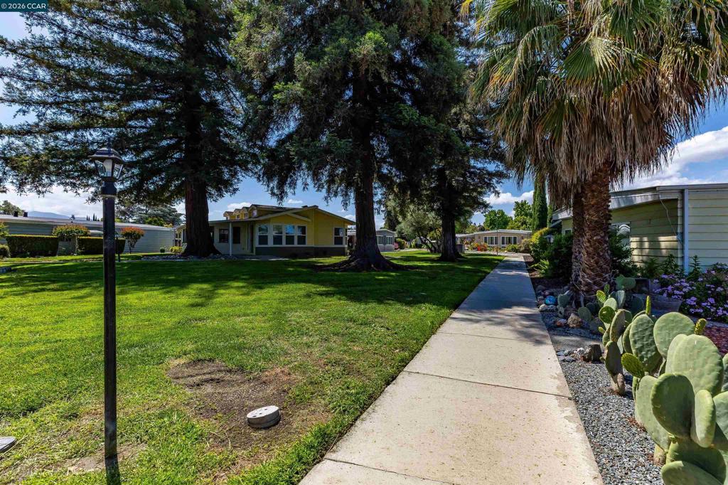 2368 Dalis Drive Property Photo 49