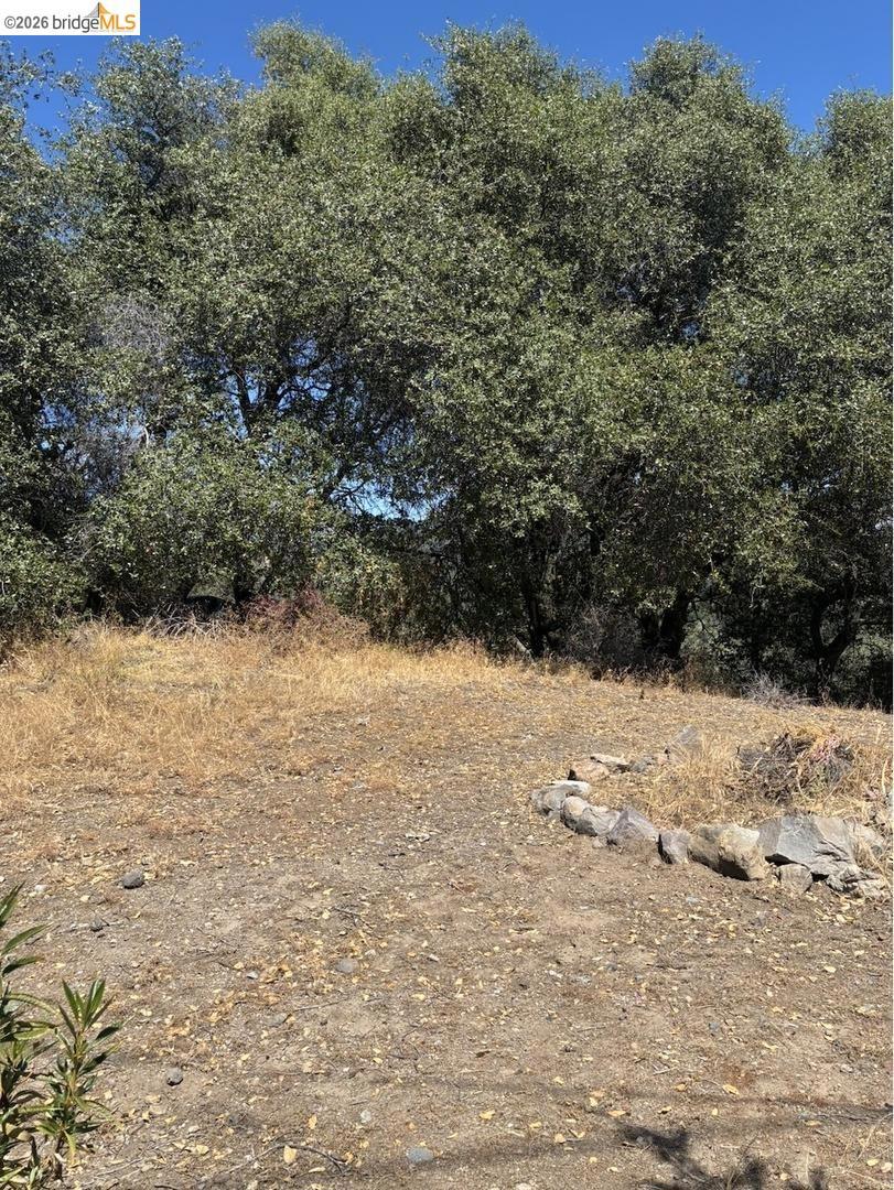 21289 Oman Dr Property Photo 4