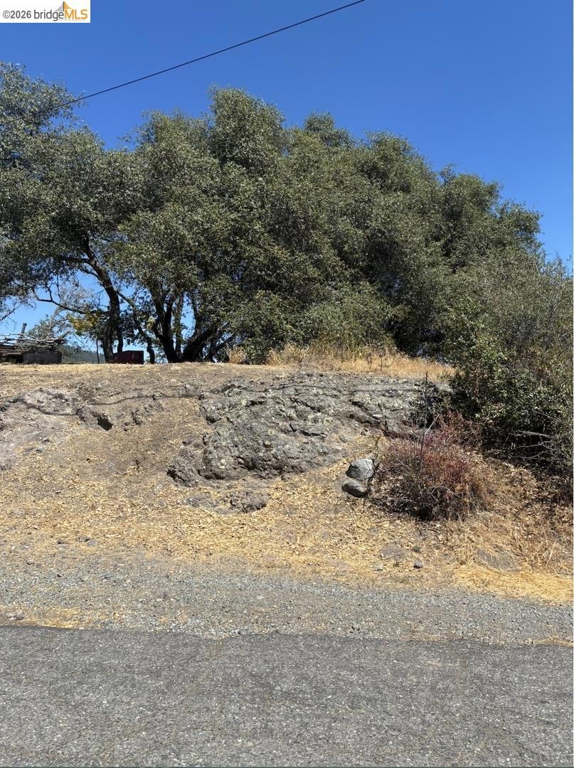 21289 Oman Dr Property Photo 6