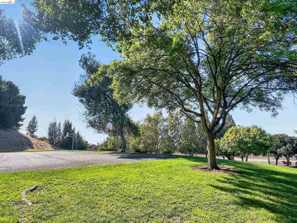 2717 Lobelia Ct Property Photo 54