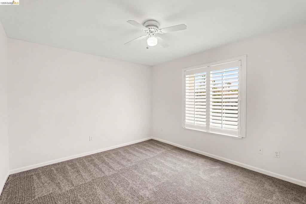 217 Sussex Property Photo 22