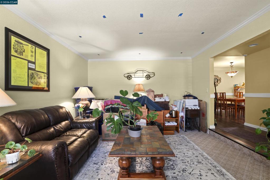 1540 Sandy Way Property Photo 15