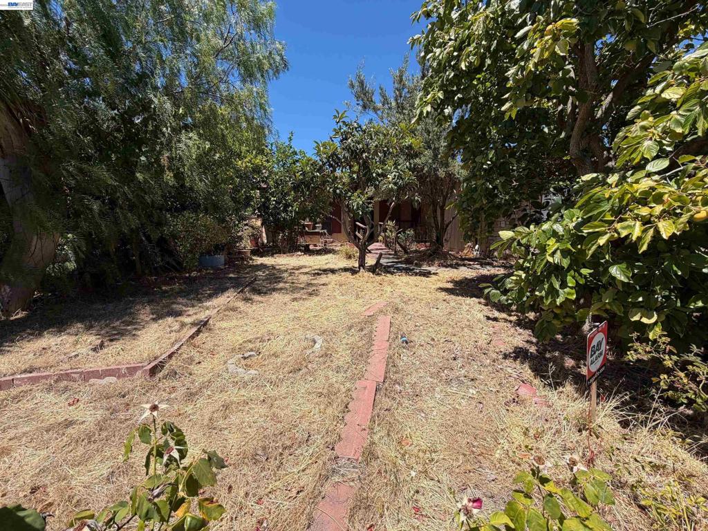 1988 Calaveras Dr Property Photo 3