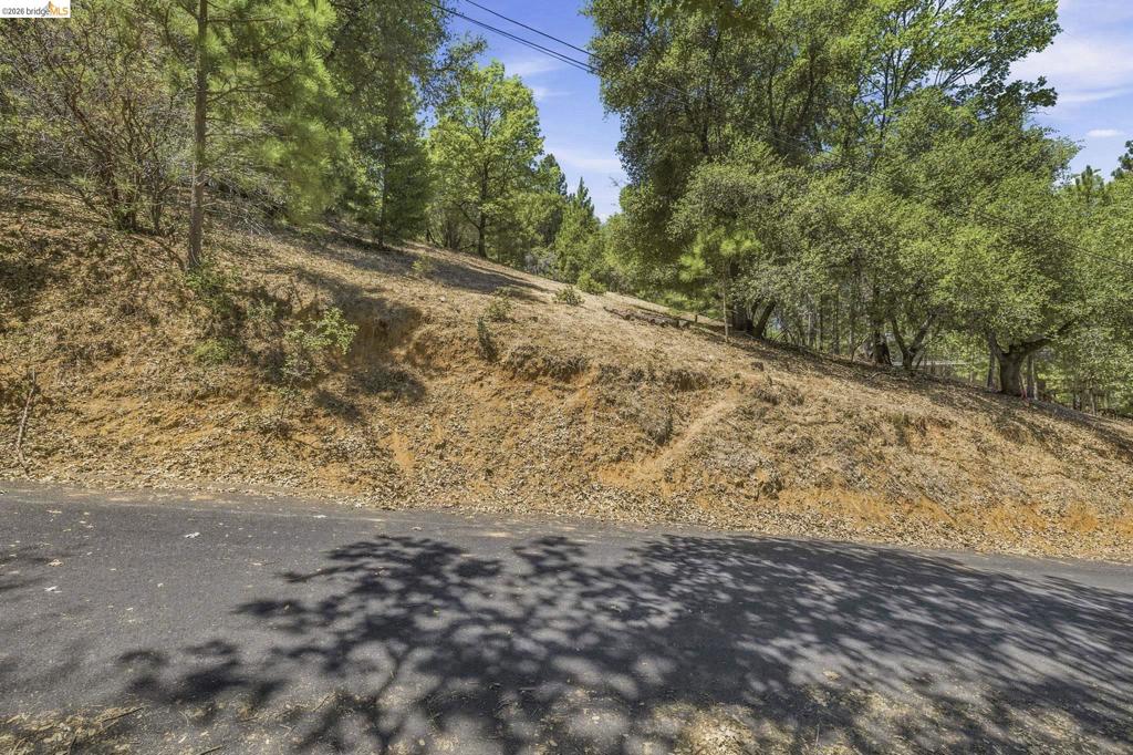 12936 First Garrotte Circle Property Photo 3