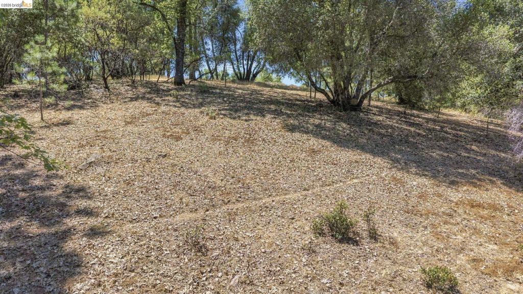 12936 First Garrotte Circle Property Photo 5
