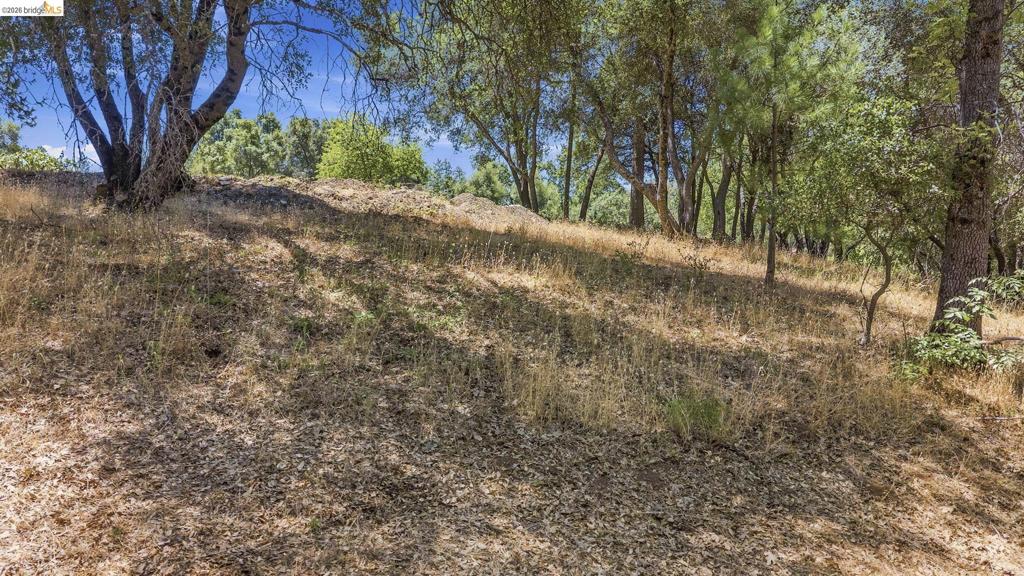12936 First Garrotte Circle Property Photo 6