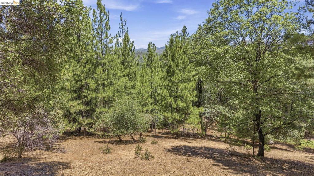 12936 First Garrotte Circle Property Photo 7
