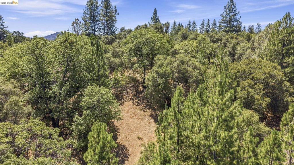 12936 First Garrotte Circle Property Photo 8