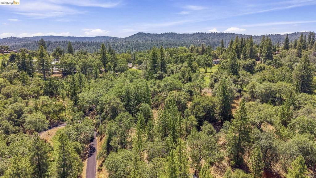 12936 First Garrotte Circle Property Photo 9