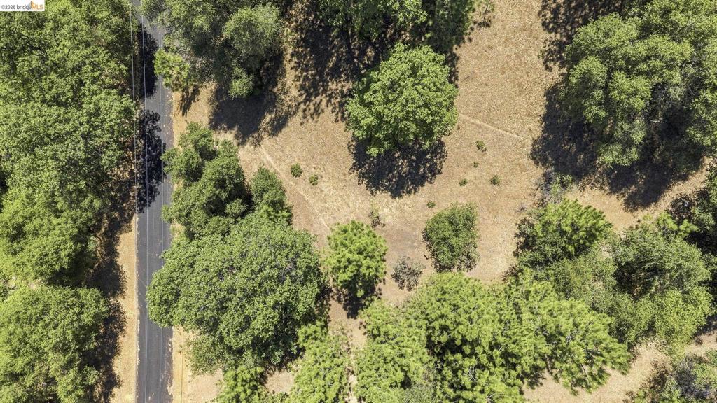 12936 First Garrotte Circle Property Photo 10