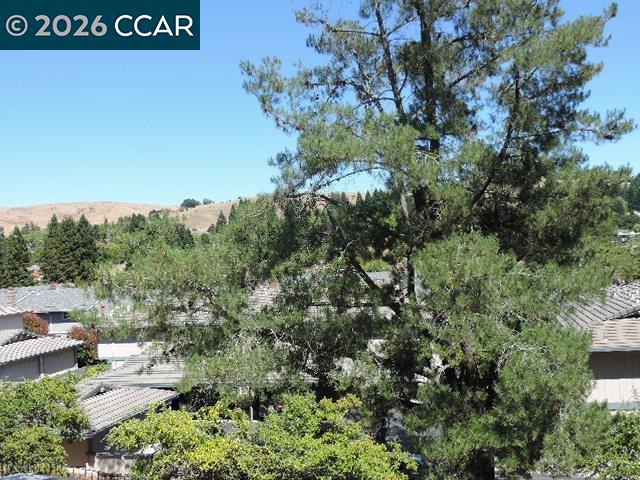 2091 Ascot Dr. 130 Property Photo 48