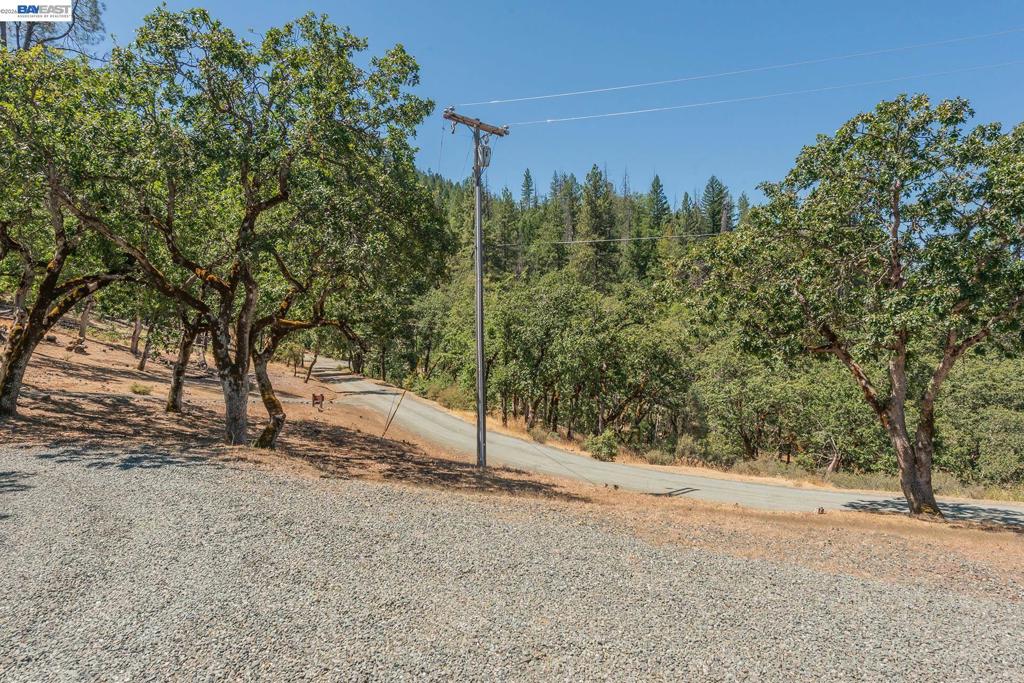 600 Top Of The Grade Property Photo 29
