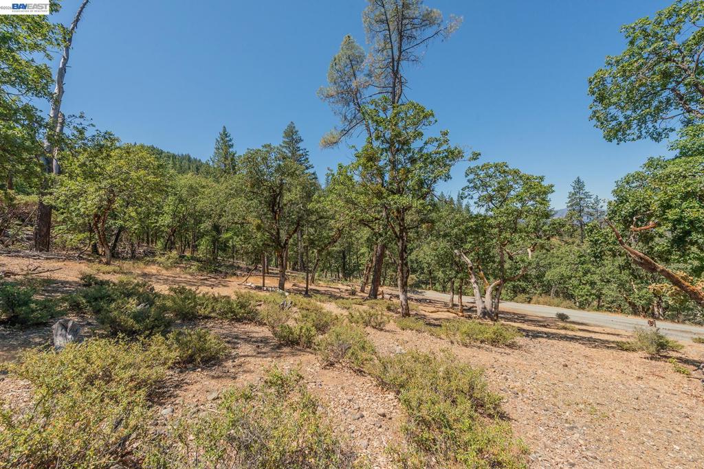 600 Top Of The Grade Property Photo 41