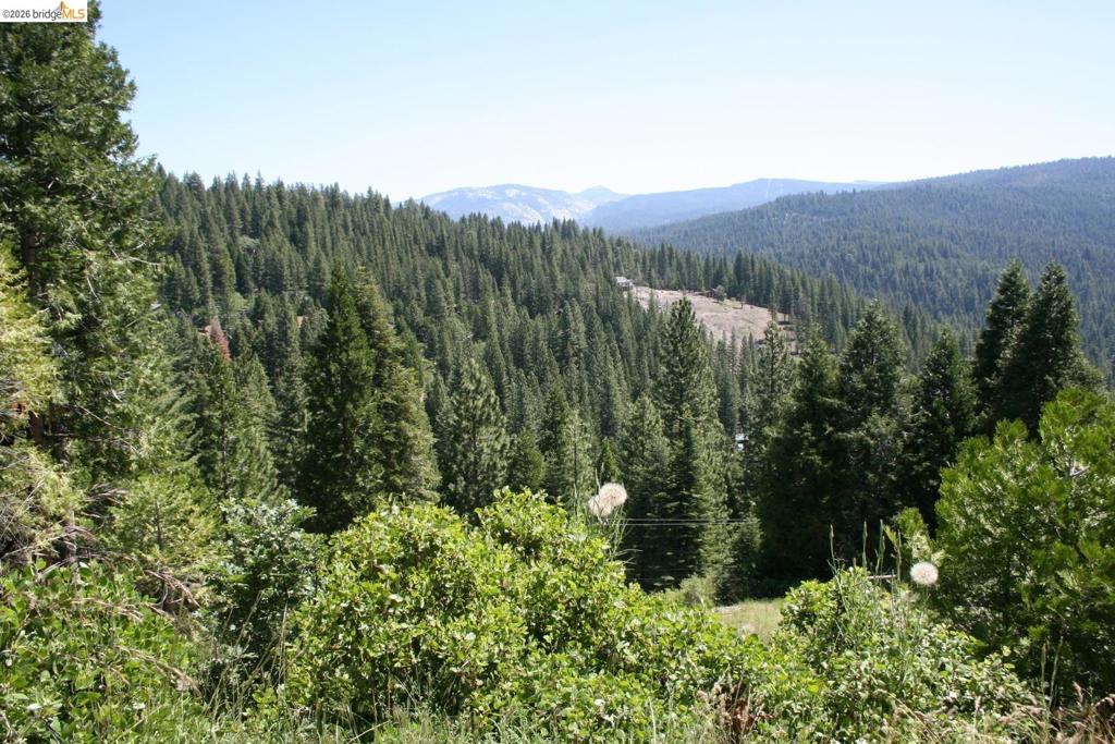 29671 Lassen Dr Property Photo 3