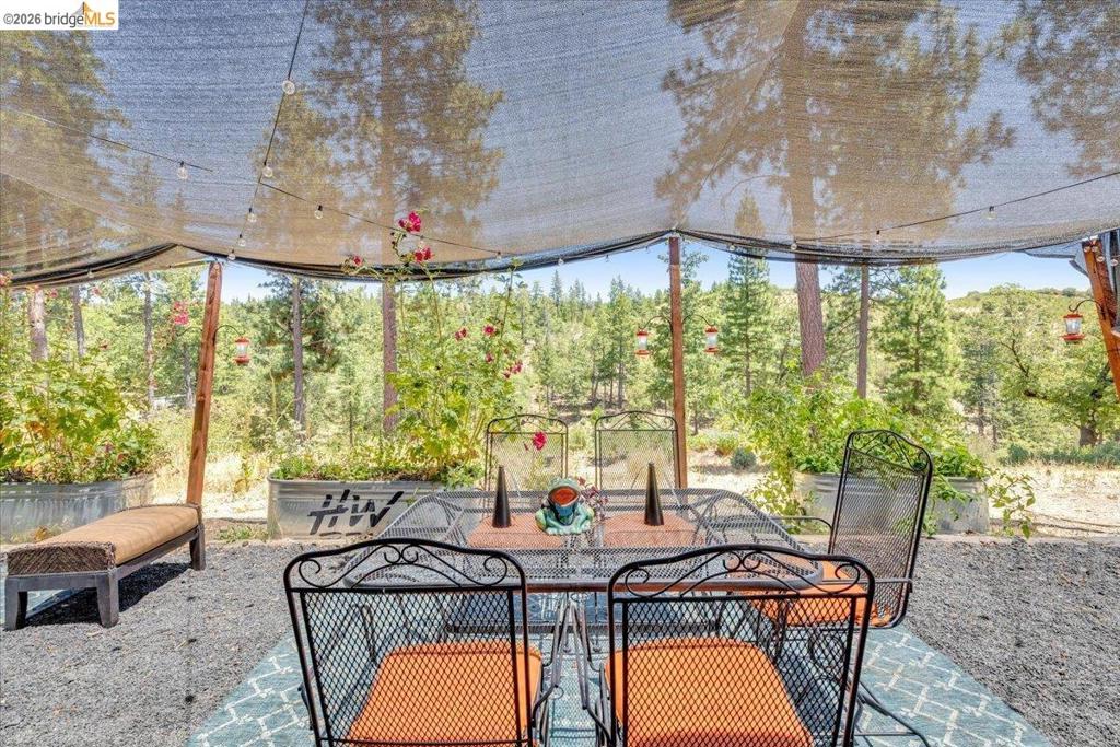 9935 Jackass Creek Rd Property Photo 24