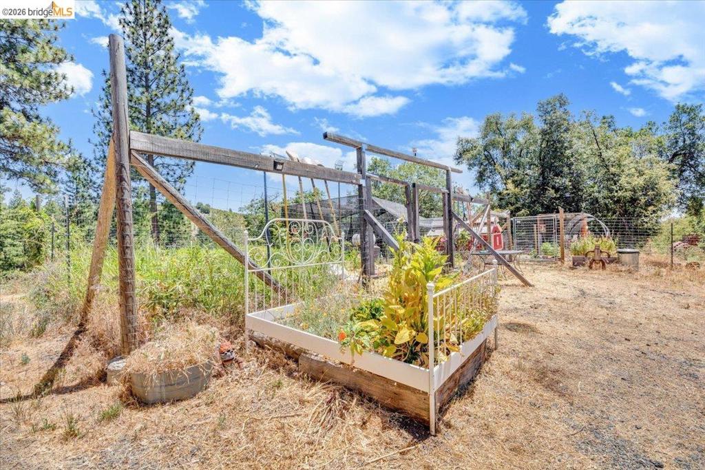 9935 Jackass Creek Rd Property Photo 40