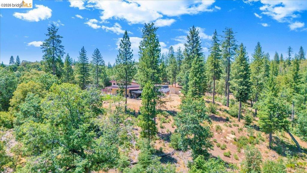 9935 Jackass Creek Rd Property Photo 41