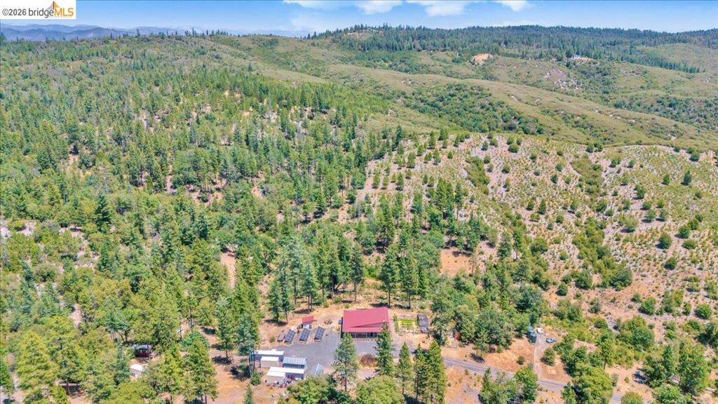 9935 Jackass Creek Rd Property Photo 43