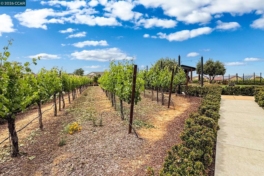 1760 Merlot Circle Property Photo 45
