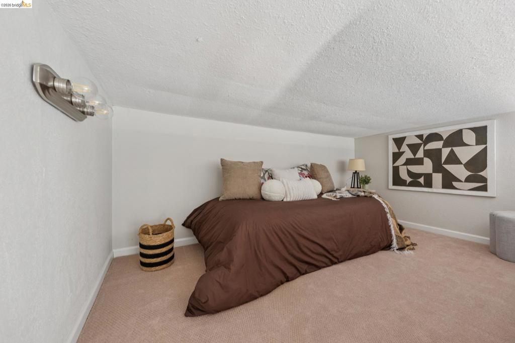 1036 Spring Ct Property Photo 29