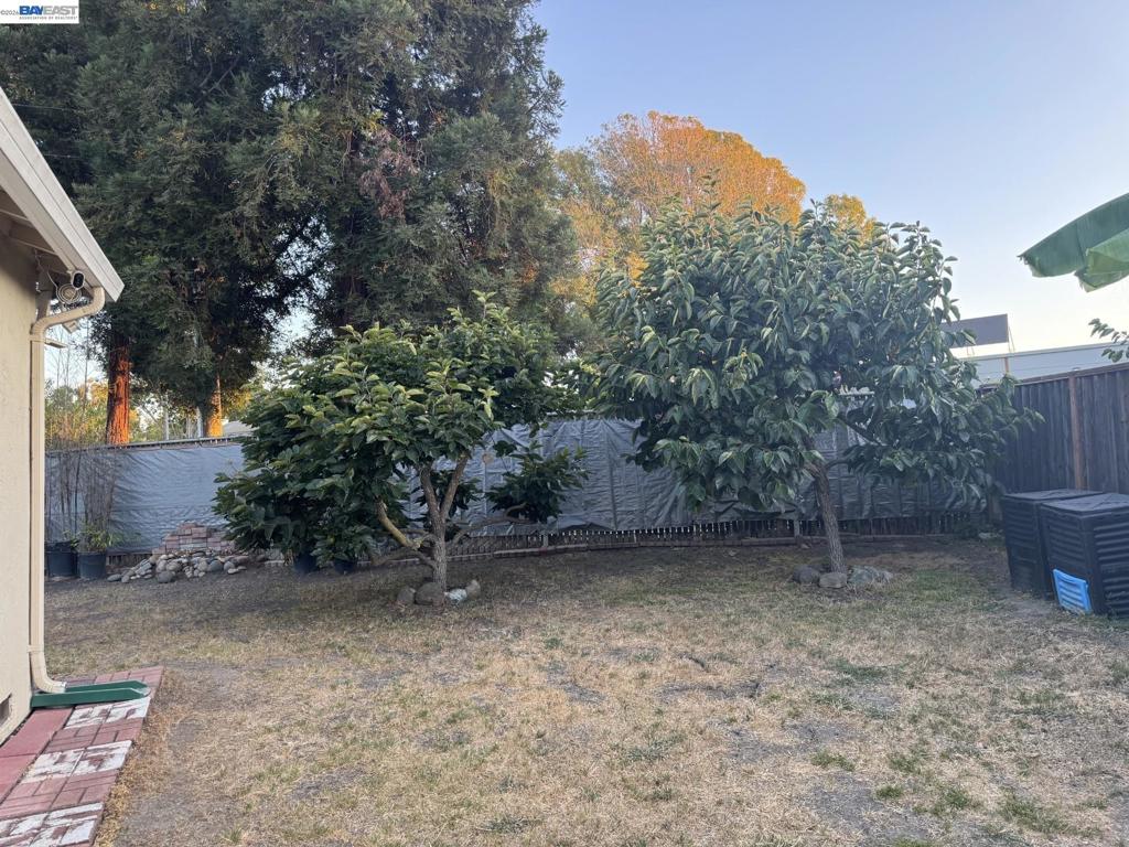 1603 Morgan St Property Photo 37