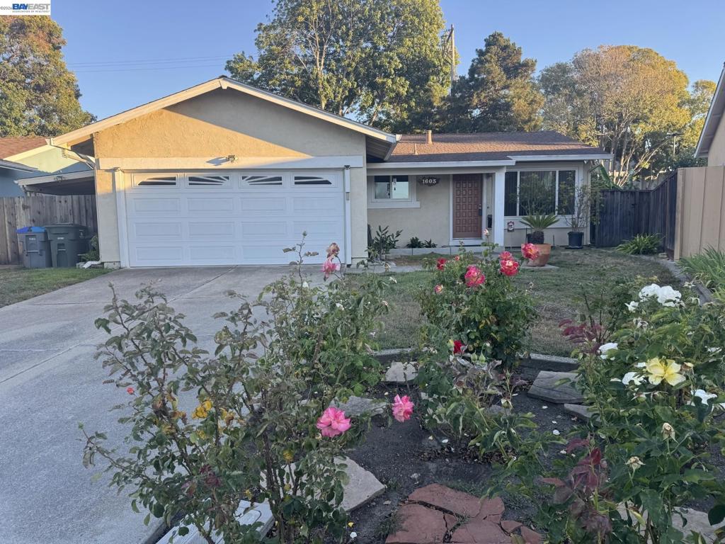 1603 Morgan St Property Photo 45