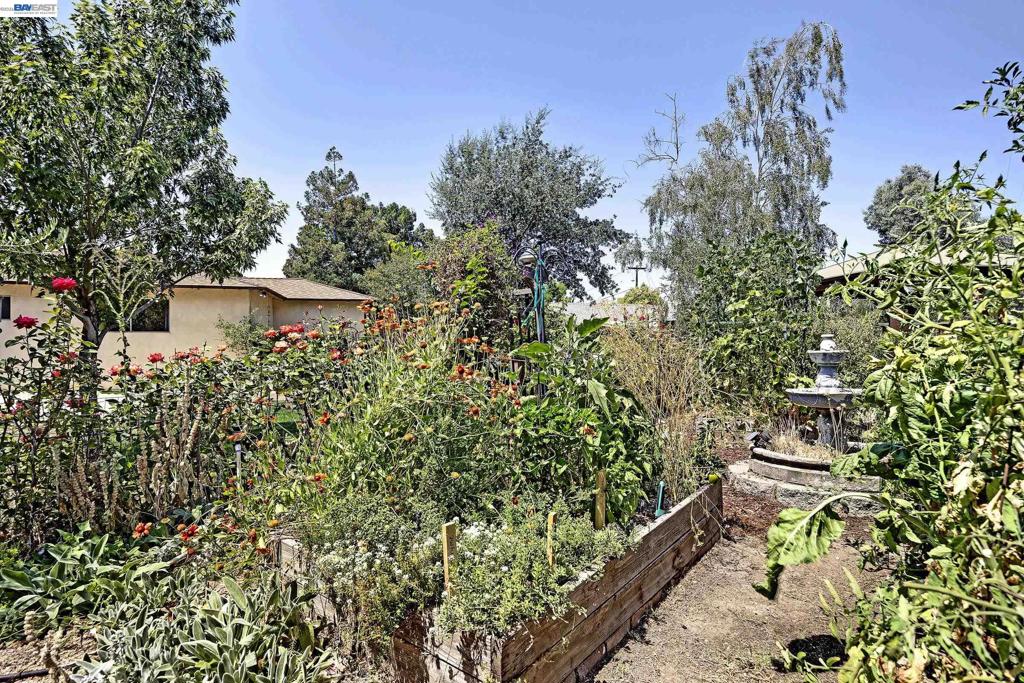856 Adams Ave Property Photo 35