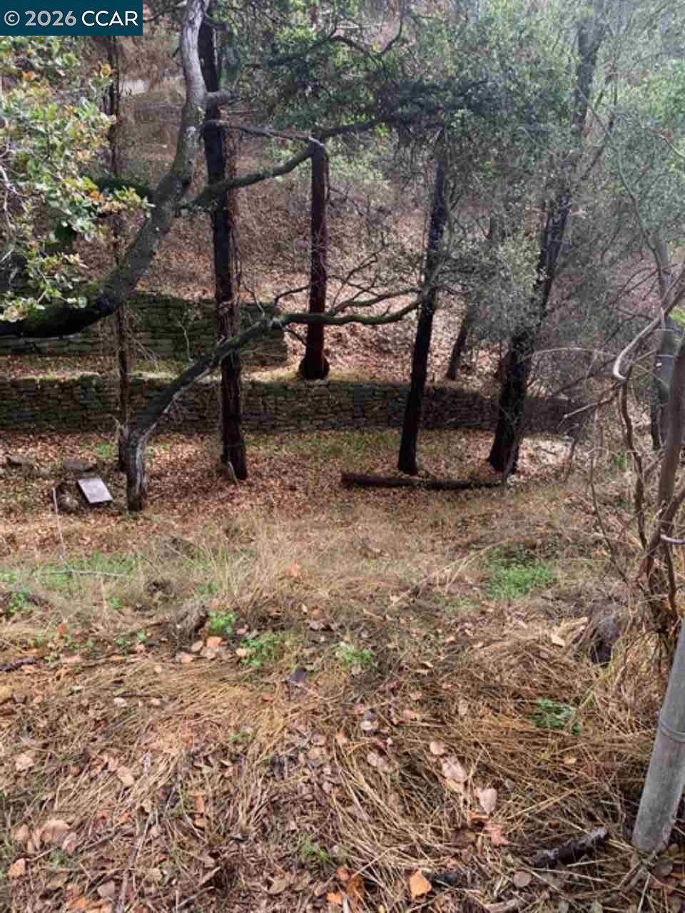 Mountain View Ave Property Photo 8