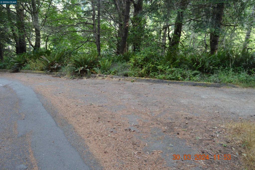 41142809 Property Photo 2