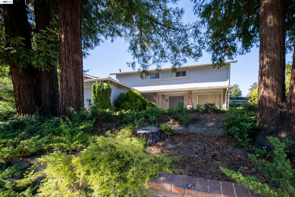 11278 Betlen Dr Property Photo 4