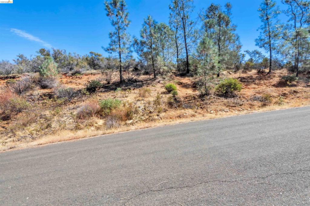 4462 Fremonts Loop Property Photo 11