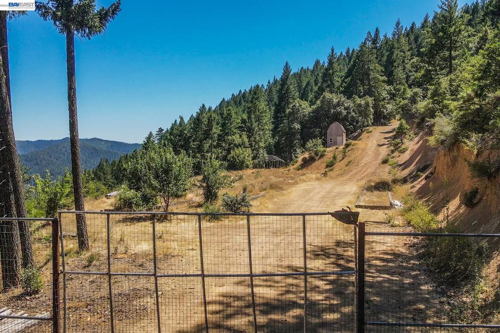 190 Moore Gulch Property Photo 2