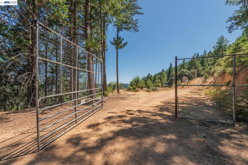 190 Moore Gulch Property Photo 32