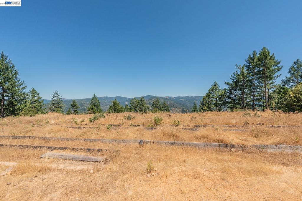 190 Moore Gulch Property Photo 36