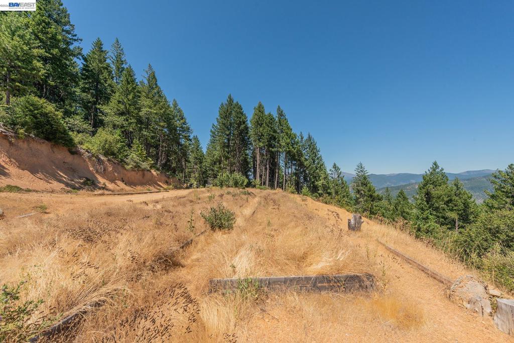 190 Moore Gulch Property Photo 39