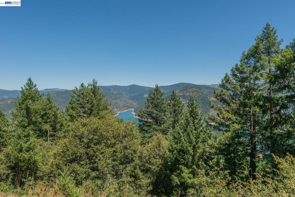 190 Moore Gulch Property Photo 41