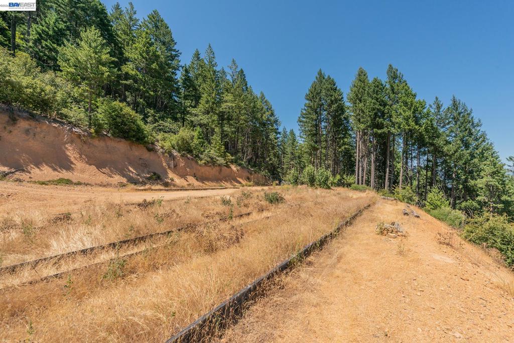 190 Moore Gulch Property Photo 42