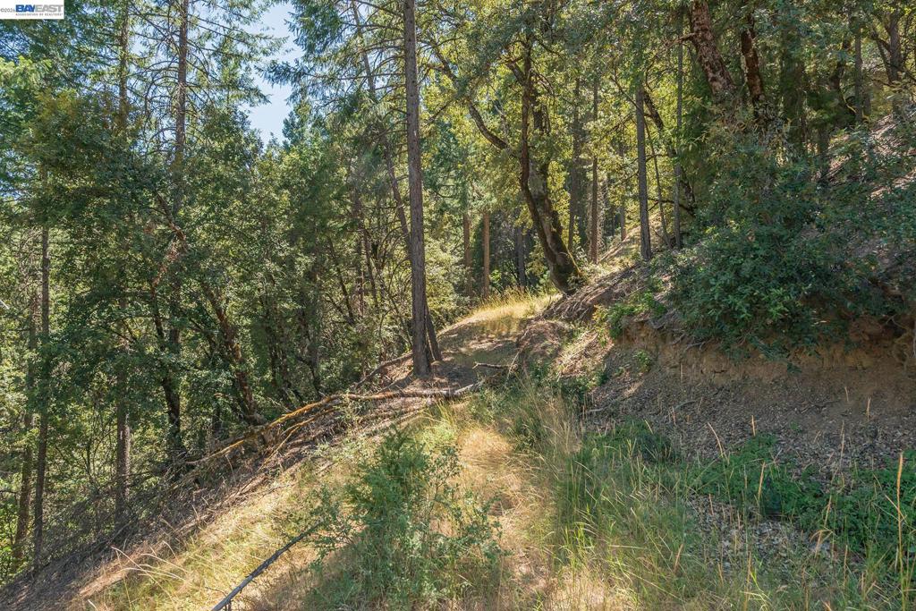 190 Moore Gulch Property Photo 44