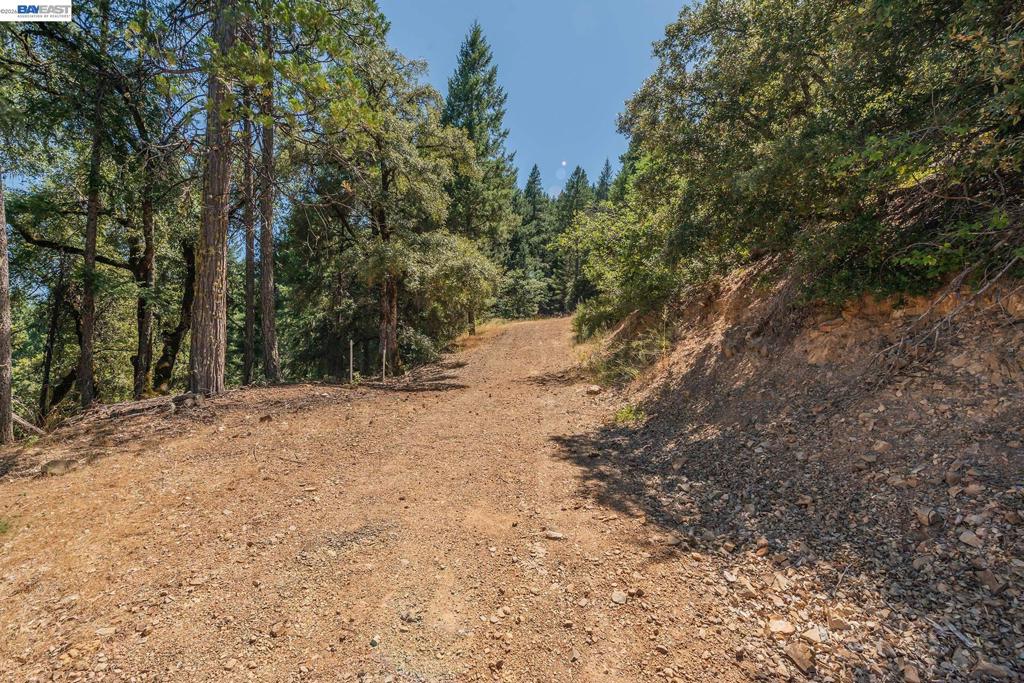 190 Moore Gulch Property Photo 56