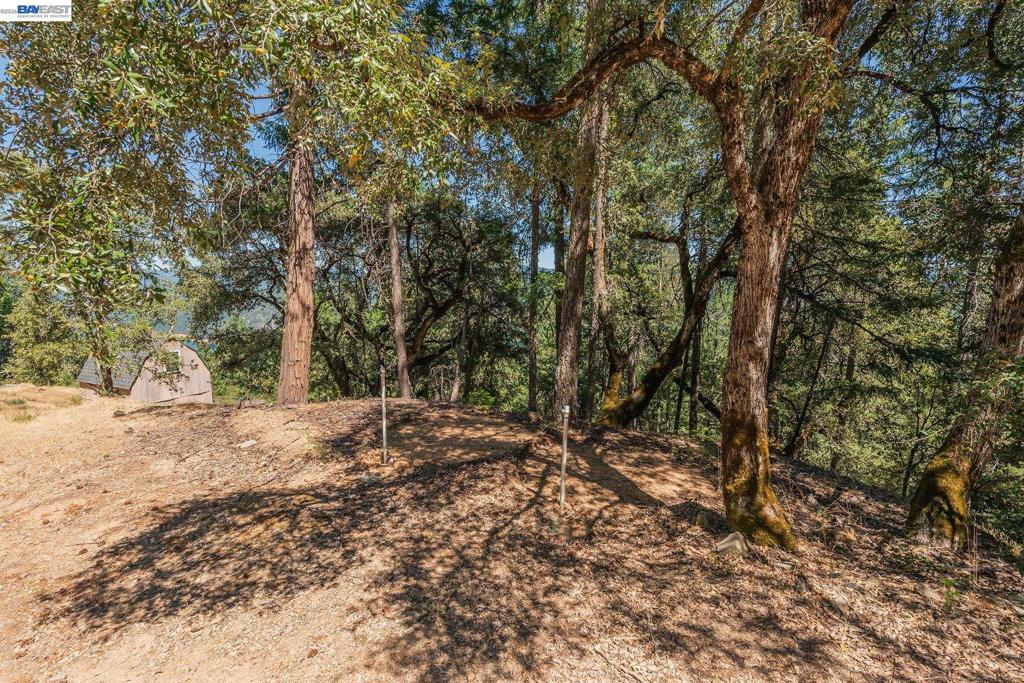190 Moore Gulch Property Photo 58