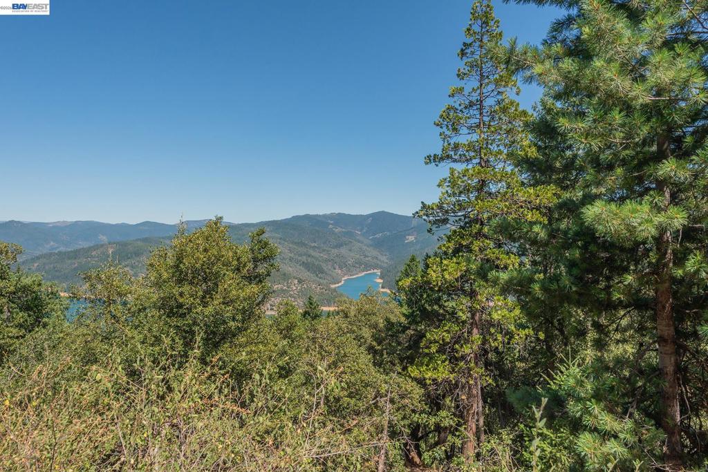 190 Moore Gulch Property Photo 64