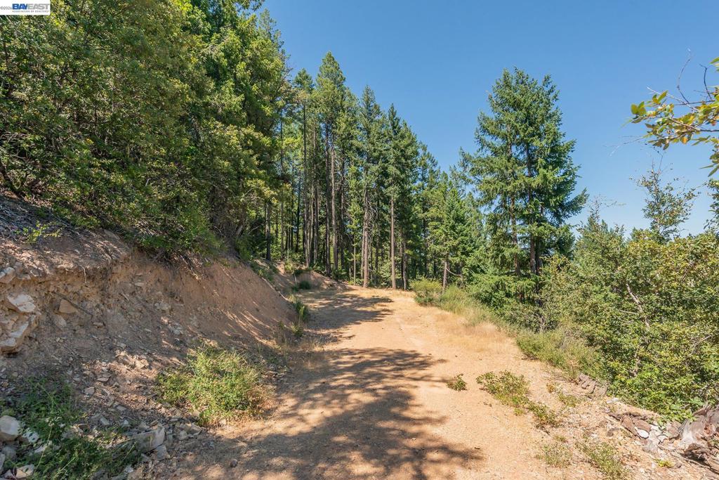 190 Moore Gulch Property Photo 65