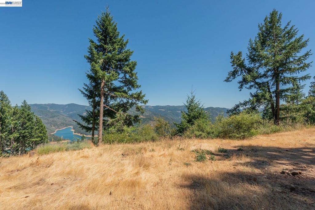 190 Moore Gulch Property Photo 72