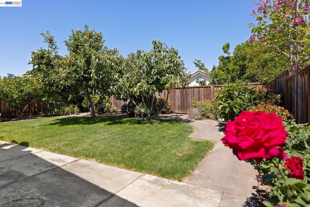 2227 Emerald Hills Cir Property Photo 47