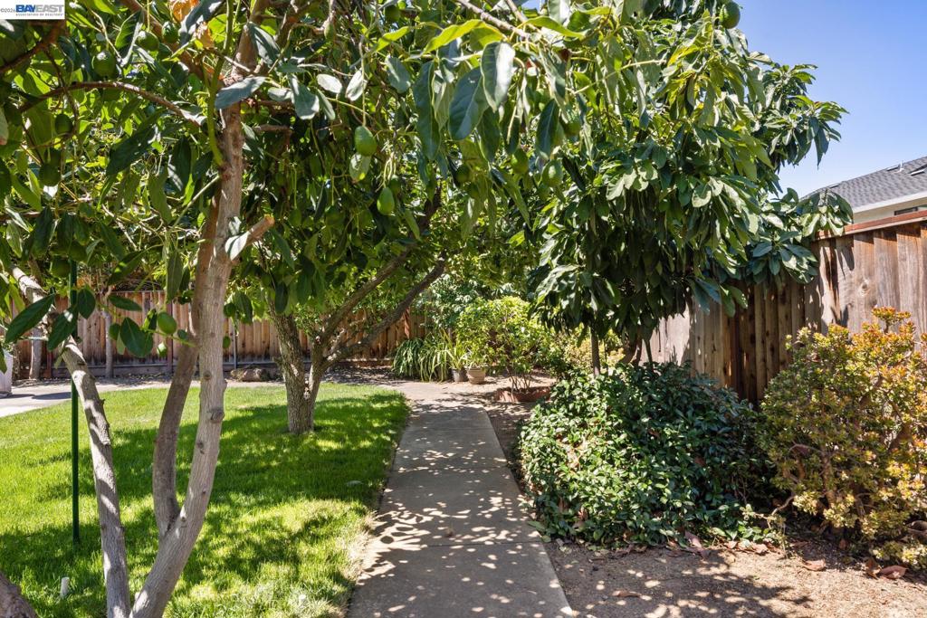 2227 Emerald Hills Cir Property Photo 48