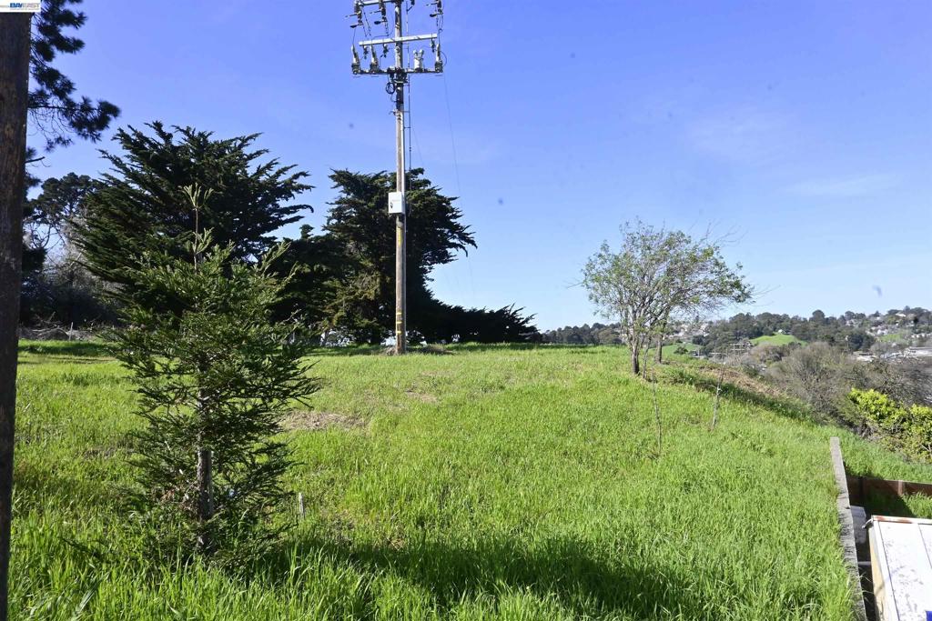 3944 La Cima Rd Property Photo 7