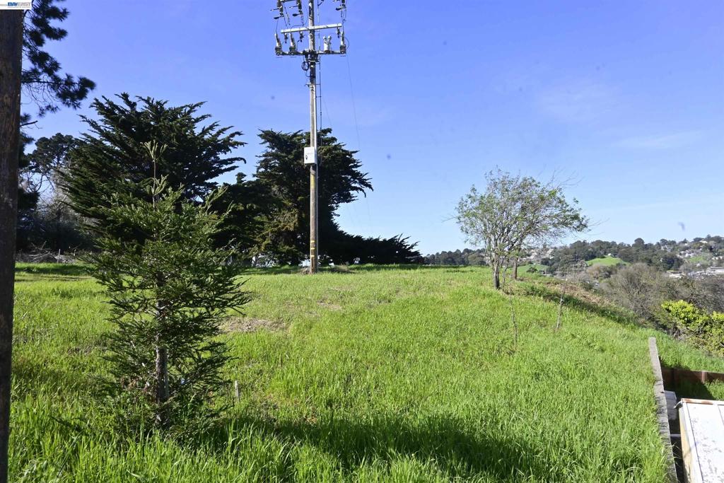 3944 La Cima Rd Property Photo 8