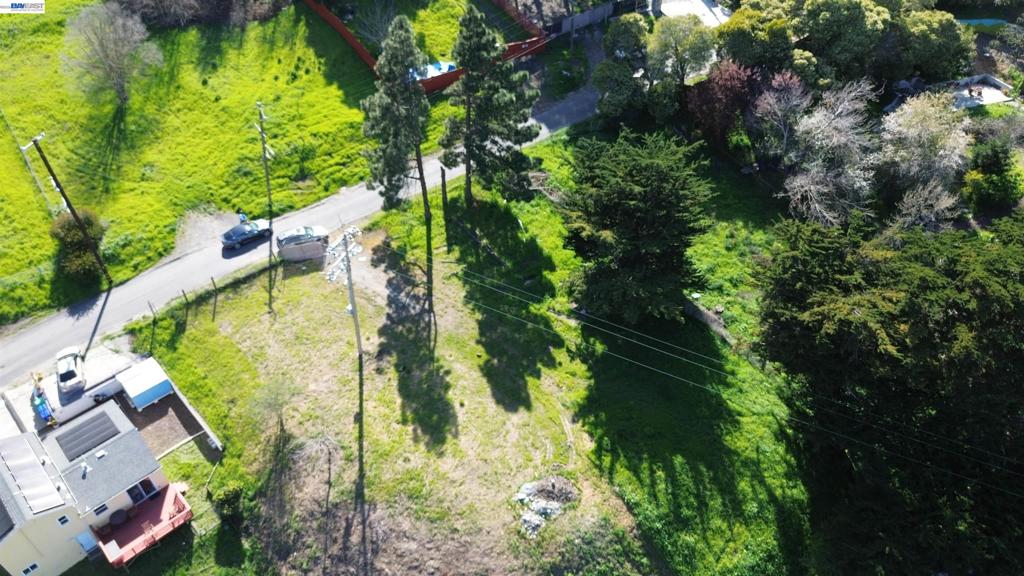 3944 La Cima Rd Property Photo 13